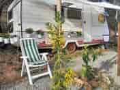 Leafy caravan pitch