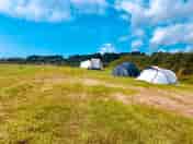 Grass or motorhome pitches