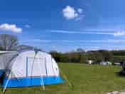 Large family field