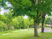 Grassy pitches