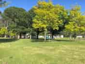 Non electric pitches among the trees
