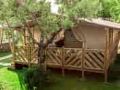 Safari tent