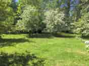 Orchard pitches