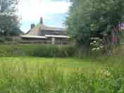 Foxglove Tent pitch