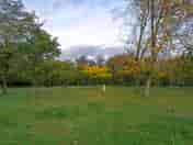 Grass pitches