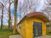 Robin exterior