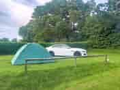 Bluebell non-electric pitch 45