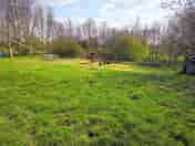 Pitch by the pond