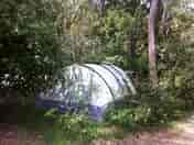 Out in nature