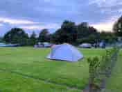 hillview meadow