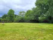 Grass pitches with trees for shelter
