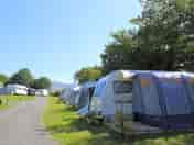 Grass touring pitches backed by trees