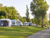 Tree-shaded pitches