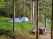 Tree-shaded pitches