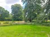 Woodpecker pitch