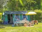 Tree-shaded tent pitch