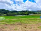 Beautifull location