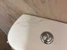 Cracked bathroom sanitary wear
