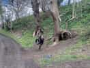 Tyre swing