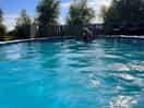 The pool