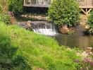 Nice lil stream running through the site