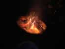 Fire pit