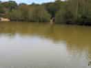 Pond
