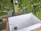 Sink