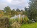 Gorgeous grounds