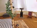 Cosy interior