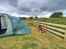 Marked out, spacious and level pitch