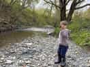 The stream