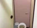 Clean toilets
