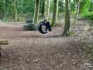 Tire swing in the woods at the site
