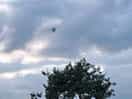Hot air balloon