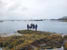 Crab fishing at holyhead