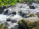 The river