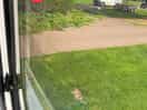 This was how close the machinery was to our van and the noise
