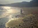 Fossil hunting at charmouth beach