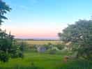 Evening light.