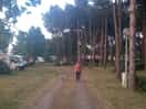 Camper pitch
