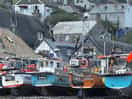 Cadgwith cove