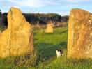 Stone circle with sam the cat