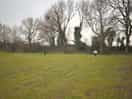 Camping field