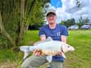 Stunning carp