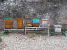 Beehives.