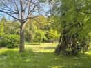The gardens