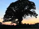 Beautiful in the late evening