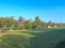 The wigwam field