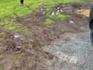 Mud